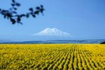 Bild zeigt den Berg Elbrus