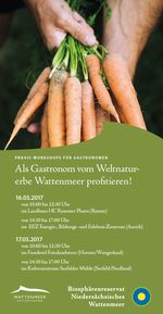 Bild zeigt Vorderseite des Flyers "Nachhaltige Gastronomie"