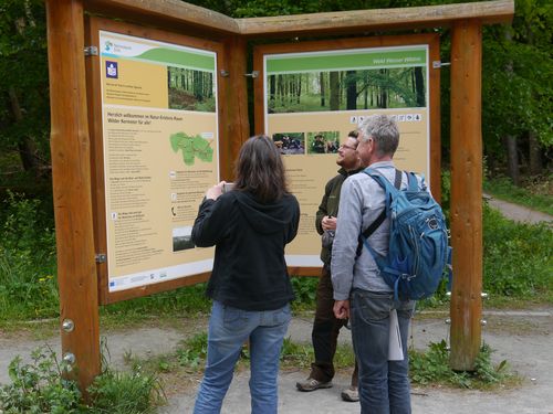 Bild zeigt Besucher vor einer Informationstafel im Nationalpark Eifel